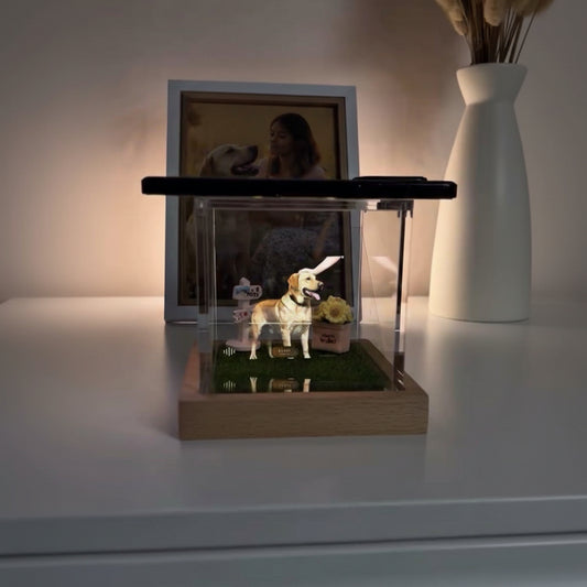 MyEterna - Pet Eternity Box